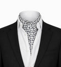 Ascot Silk Tie |AT-001
