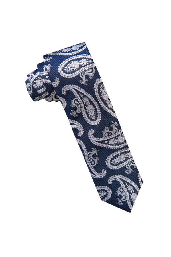 Contemporary paisley pattern neck tie made from high-quality polyester fabric.